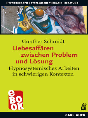 cover image of Liebesaffären zwischen Problem und Lösung